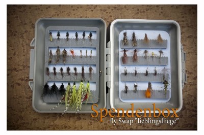 DSC_0014 [800x600].jpg