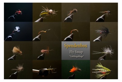 Spendenbox Collage [800x600].jpg