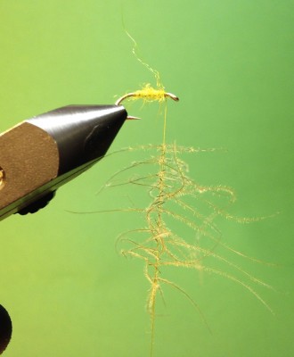 7.Bindeschritt:<br />Mit Hilfe des Bobbins den Bindefaden verdrehen. Das dient als Sicherung gegen herausfallen den einzelnen Grannen.