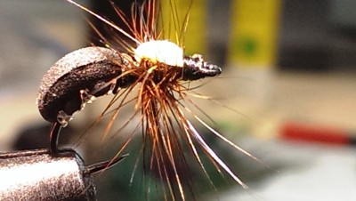 IMAG1738.jpg (116.75 KiB) 3919 mal betrachtet Bivisible Bug