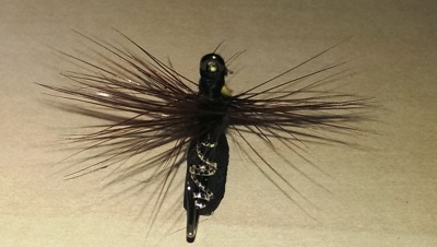 IMAG1741.jpg (115.03 KiB) 3919 mal betrachtet Bivisible Bug