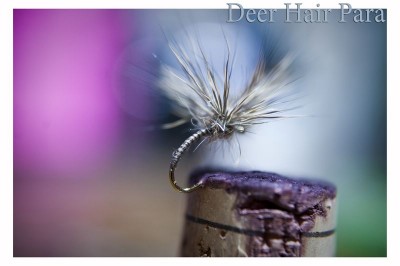 DSC_0187 [800x600].jpg