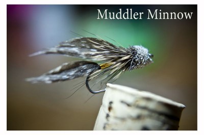 DSC_0198 [800x600].jpg