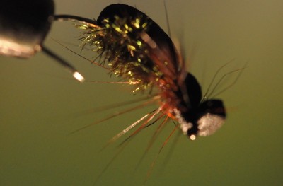 _DSC0007.JPG (158.95 KiB) 4750 mal betrachtet Mono Bug