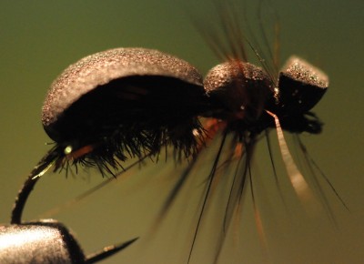 _DSC0008.JPG (188.61 KiB) 4750 mal betrachtet Mono Bug