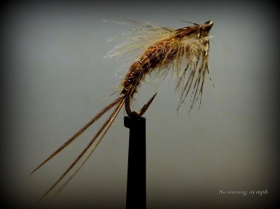 P1020554 - Kopie.JPG