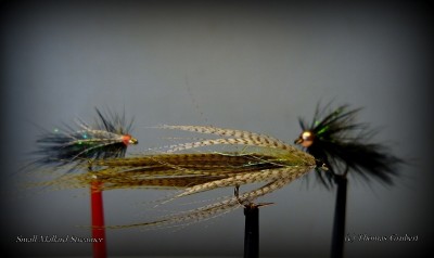 P1020568 - Kopie.JPG