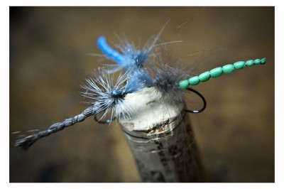 DSC_0249 [800x600].jpg