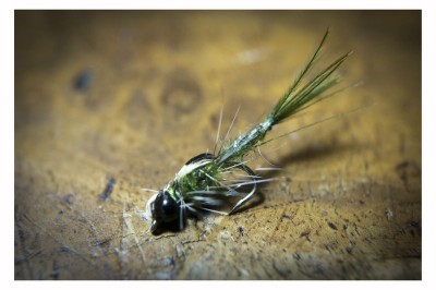 DSC_0257 [800x600].jpg