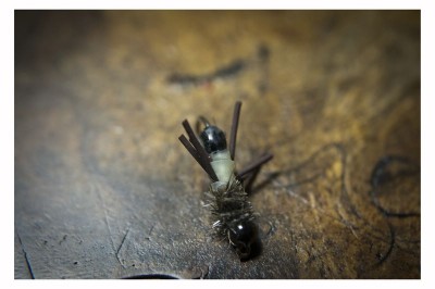 DSC_0255 [800x600].jpg