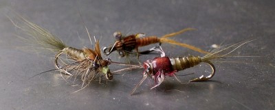 gummihandschuh 1.jpg