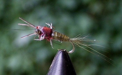 gummihandschuh 3.jpg