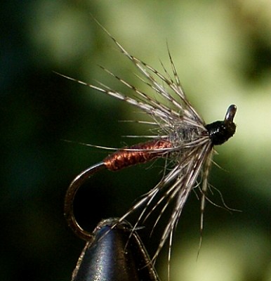 Gütermann Silk braun.jpg