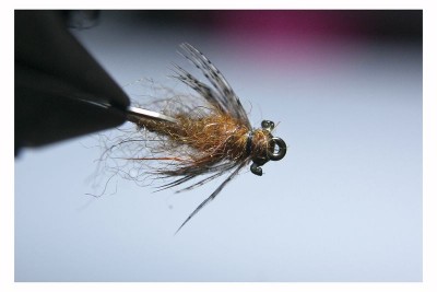 DSC_0265 [800x600].jpg