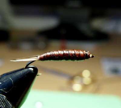 P1020576 - Kopie.JPG