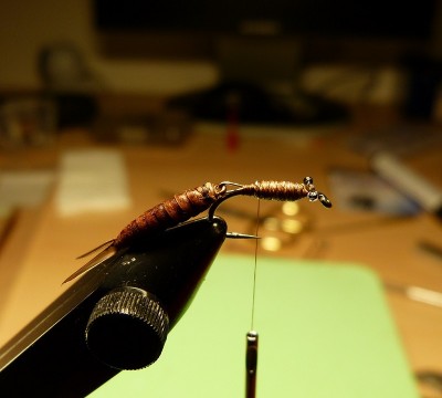 P1020581 - Kopie.JPG