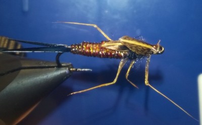 Stone Fly Nymph Real.jpg (100.16 KiB) 3000 mal betrachtet erster Versuch im realistischere Binden...