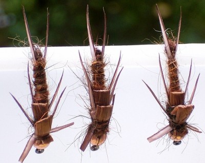 Steinfliegennymphe BiotBast.jpg