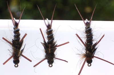 Steinfliegennymphe Bodyrib.jpg