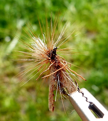 Para Pack Caddis 03.jpg
