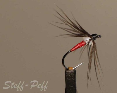 _MG_4069 Perlen Spider_2.jpg