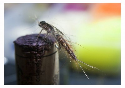 DSC_0280 [800x600].jpg