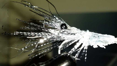 K640_2014-02-03 22.54.02.JPG