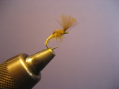 IMG_6753.JPG (120.52 KiB) 2717 mal betrachtet Biot/CDC Emerger