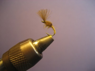 Biot/CDC Emerger