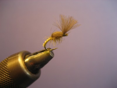 Biot/CDC Emerger