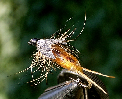 George Grant Stone 03a_oben.jpg