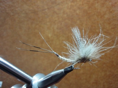 Paraloop Maifliege mit Flügel