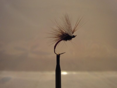 Paraloop mit Flügel aus Antron