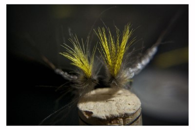 DSC_0319 [800x600].jpg