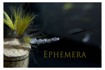 DSC_0321 [800x600].jpg