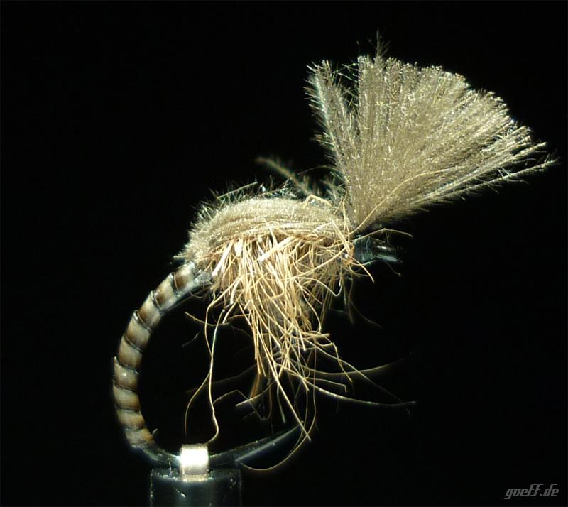 cdc-emerger.jpg
