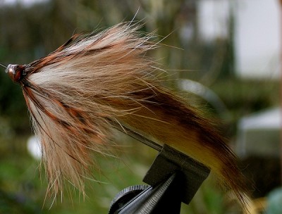 Microtube zonker schmerle.jpg