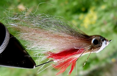 forellen tube 03.jpg