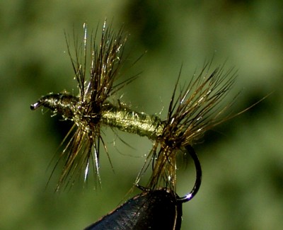 knotted M 02_16.jpg