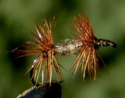 knotted M 03_18.jpg