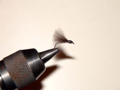 DSC00060.jpg (39.11 KiB) 2348 mal betrachtet nach Fratnik mit MP MagicToolSTACKER