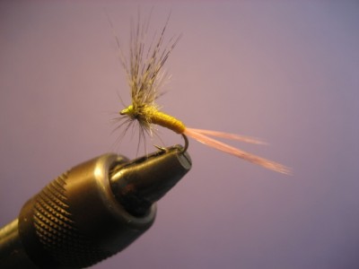 PDM #14