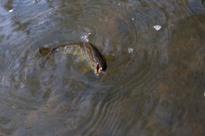 DSC_0779 [800x600].jpg