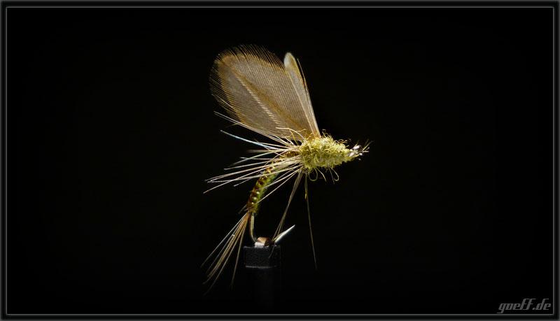 winged-emerger.jpg