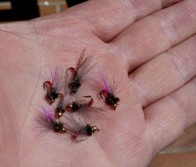 Red Ass & CDC 00.jpg