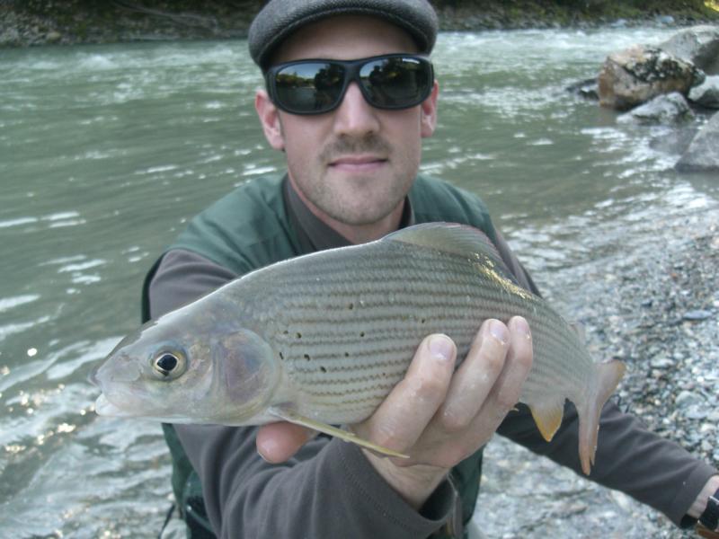 Äsche aus der Salzach