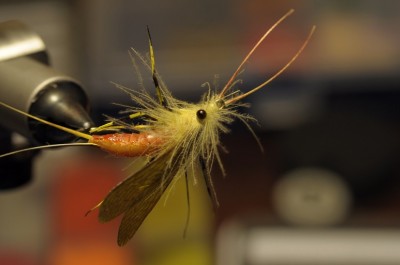 noch mal komplett zu sehen