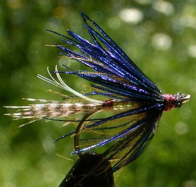 Blaupfau 1.jpg