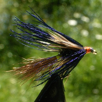 Blaupfau 2.jpg