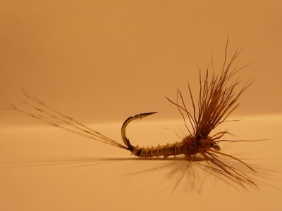 k-Funnelldun Tan #10 S.JPG